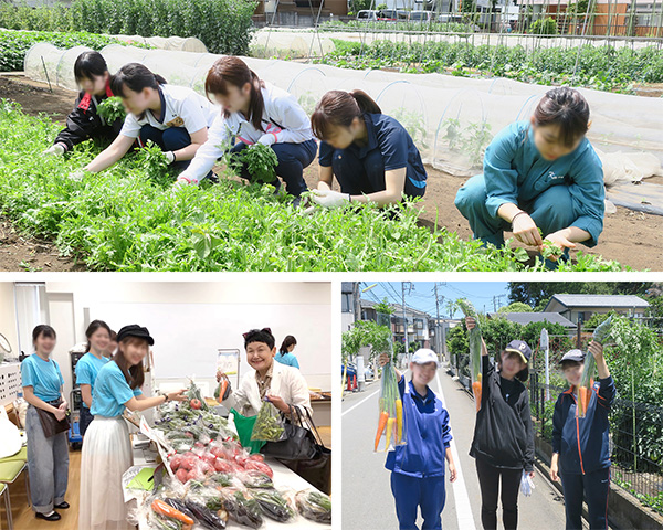 gendai_pj05_agri01