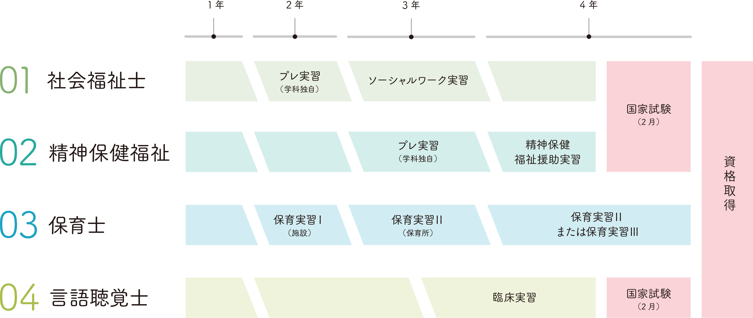 実習について